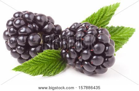 blackberry with leaf isolated on a white background closeup.