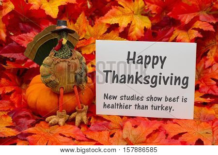 Funny Happy Thanksgiving Greeting Some fall leaves and a turkey sitting on a pumpkin and a greeting card with text Happy Thanksgiving and beef is healthier than turkey