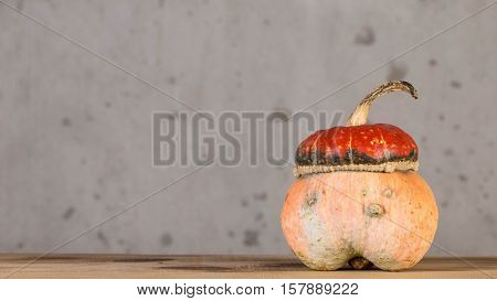 Decorative pumpkin orange color for interior decoration.