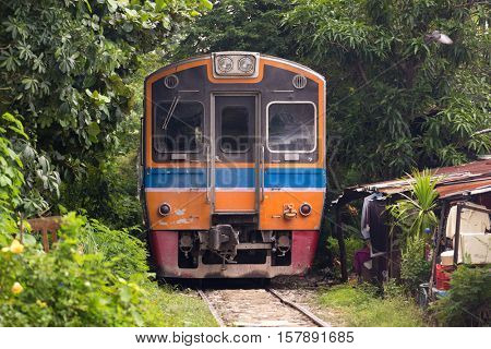 Train passing inside a greenery tunnel near Bangkok, Thailand . This place is looking like a rural village but it's 200 meters from Bangkok's moderns building .