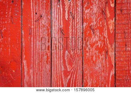 Texture Of Old Wooden Fence Painted In Red