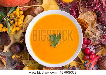 Autumn pumpkin soup in white bowl with colorful background.