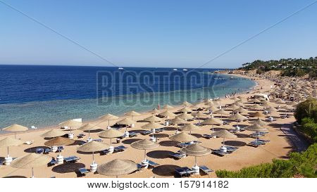 Sun umbrellas and beach beds under the palm trees on tropical beach. Holiday in Egypt