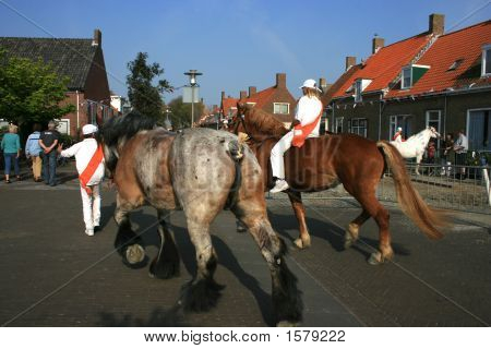 Anello a cavallo a Welcheren In Olanda