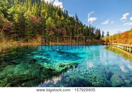 Amazing View Of The Five Coloured Pool (the Colorful Pond)