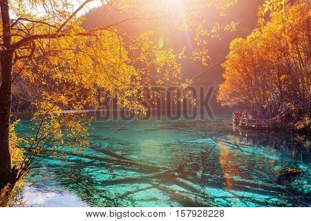 Amazing View Of The Five Flower Lake (multicolored Lake)