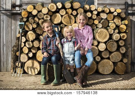 Firewood Fuelwood Lumber Timber Lumber Log Concept