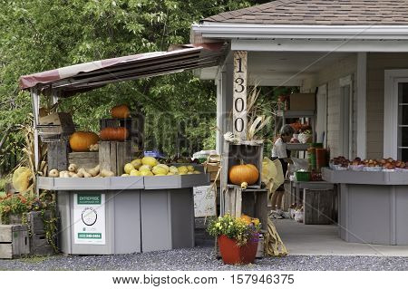 Farnham, QC, September 19, 2016 -- Pumpkins vegetables and fruits on a small stand with a vendor sorting produce, shot near rural Farnham, Quebec, on a very bright but slightly overcast day in late September.