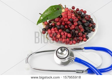 Antidesma puncticulatum Miq. , Mamao (thai name) Thailand fruit with medicinal properties.