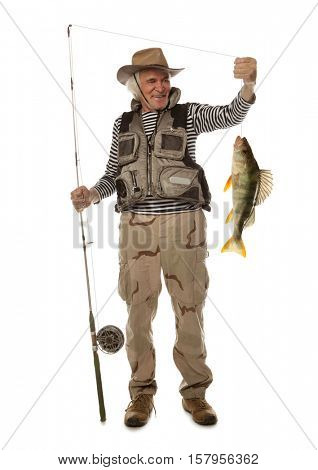 Senior fisherman with big fish - perch (Perca fluviatilis) isolated on white