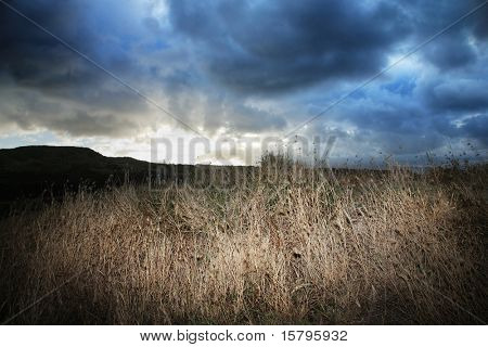 Dramatiske skyer ved solnedgang i steppe