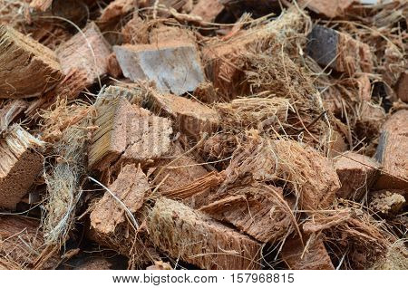 A Pile Of Chopped Brown Spathe For Background