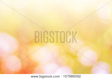 Blurred nature background.Backdrop with color and bright sun light. Summer holidays concept.bokeh background or Christmas background.Green Energy.Christmas Blurred.