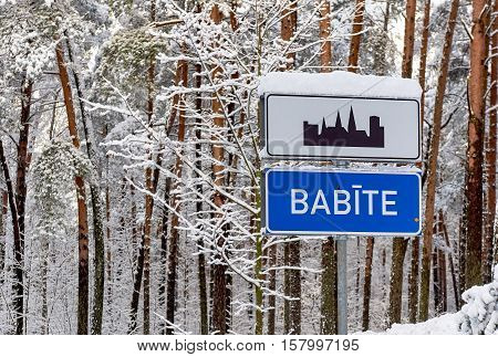 Babite roasign against trees covered with a snow. Latvia. Northern Europe