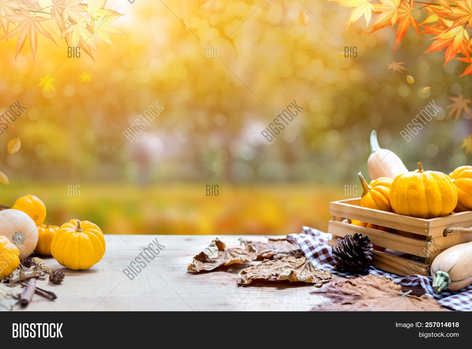 Thanksgiving Fruit Image & Photo (Free Trial) | Bigstock