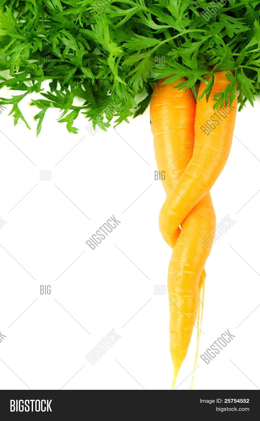 Морковка обнимашка. Морковь на пару рифлёный. Морковь паром. Ги. Морковь паром.