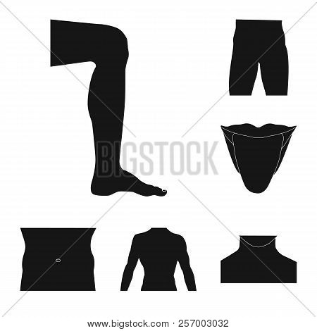 Vector Design Of Human And Part Logo. Set Of Human And Woman Vector Icon For Stock.