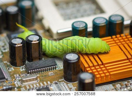 Computer Security Breach Due To Worm Attack