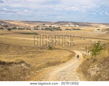 Pilgrims Walk Across The Meseta (central Plateau) Towards Hornillos Del Camino - Castile And Leon, S