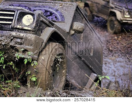 Dirty Wheels Of Car Spinning In Mud. Suv In Autumn Forest, Defocused. Offroad Race On Fall Day. Extr