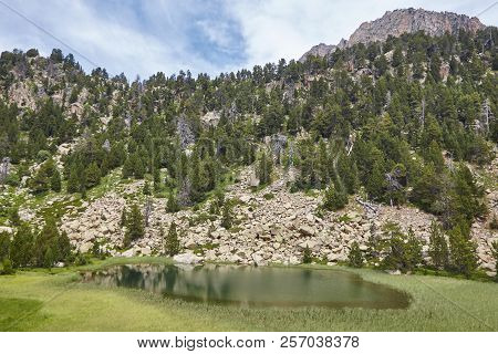 Aigues Tortes National Park Forest Landscape. Estany De Ratera. Spain