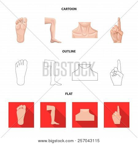 Isolated Object Of Human And Part Sign. Collection Of Human And Woman Stock Symbol For Web.