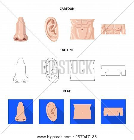 Isolated Object Of Human And Part Sign. Set Of Human And Woman Stock Vector Illustration.