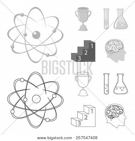 A Cup, Test Tubes With A Reagent, A Pedestal, A Man S Head With A Brain. School Set Collection Icons