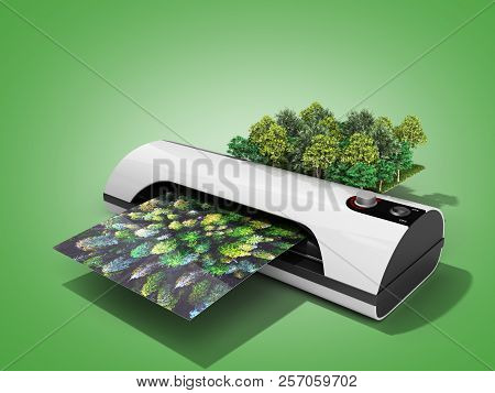 Modern High Resolution Wide Format Printing Concept The Real Forest Is Transformed Into An Image Pas