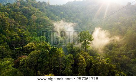 Aerial scenery of sunlight coming through the fog at dawn in the mystical Malaysian jungle near Tapah, Perak, Malaysia