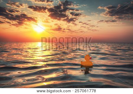 Yellow Rubber Duck Toy Floating In Sea Water. Beautiful Sunrise On The Beach.