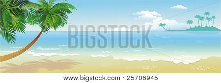 Panorámás tropical beach, tenyér (RESTER)