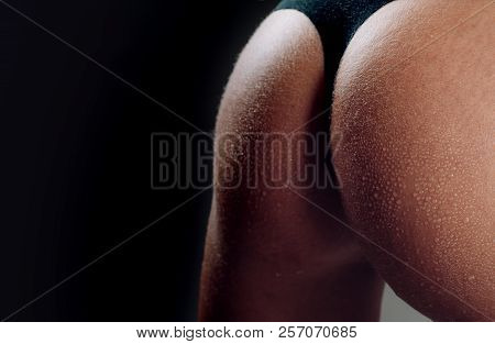 Sexy Models Ass In A Bikini. Sexy Ass Female In Panties. Buttocks In Bikini Underwear. Advertisement