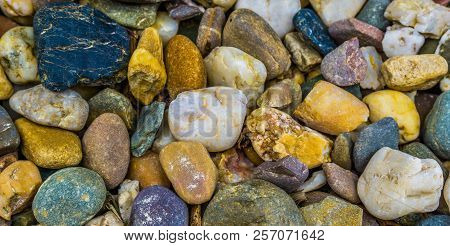 Different Colored Pebble Stones Macro Close Up Background Texture