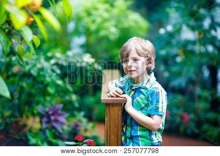 Little Blond Preschool Kid Boy Discovering Flowers And Butterflies At Botanic Garden. Schoolchild In