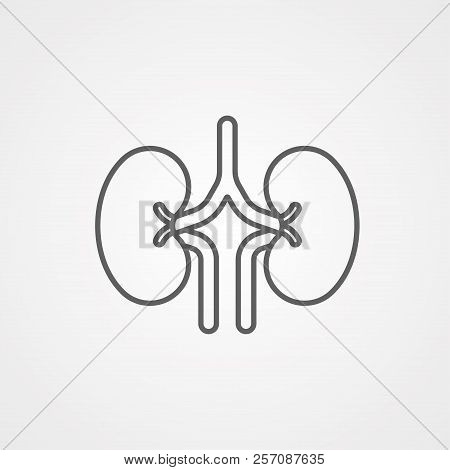 Human Kidneys Icon In Outline Style Isolated On White Background. Human Organs Symbol Stock Vector I