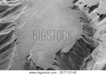 The Hummingbird - Nasca Lines - Peru