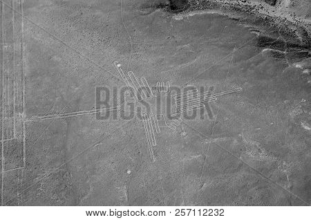 The Hummingbird - Nasca Lines - Peru