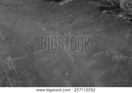 The Hummingbird - Nasca Lines - Peru