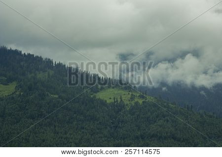 A Large Hill With A Forest In Clouds