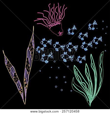 Colorful Neon Effect Underwater Universe On A Black Background Illustration Underwater Sea Medusa Fl