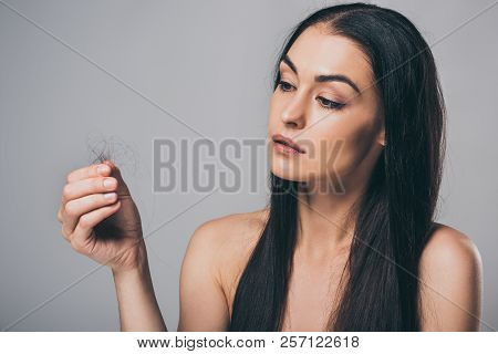 Young Brunette Woman Holding Fallen Hair Isolated On Grey, Hair Loss Concept