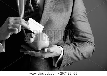 Male Hands Putting Blank Business Card In Piggy Bank For Saving On Grey Background. Fashionable Form