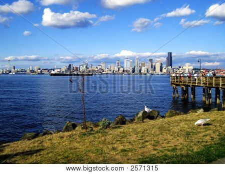 Alki Seattle manzarası doğal görünümü