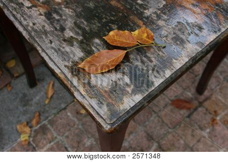Herbst als angekommen