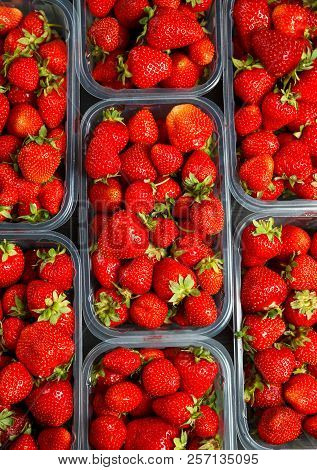 Close Up Of Fresh Red Ripe Strawberries In Transparent Plastic Container Boxes On Retail Market Disp