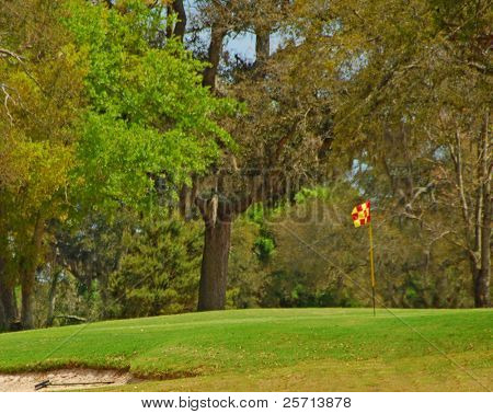 Golf Green con la bandera de fondo