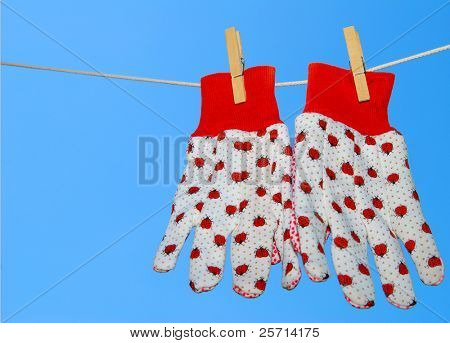 Marienkäfer Gartenhandschuhe auf Wäscheleine