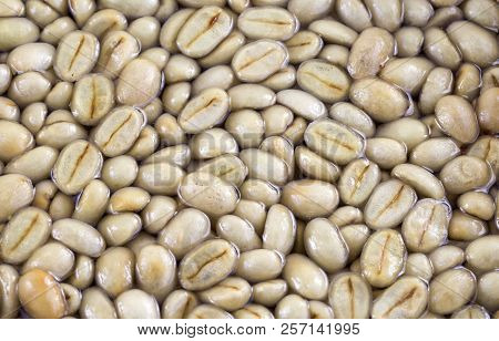 Crucial Stage Of The Mucilage Removal In Water Before Fermentation Takes Place When Processing Coffe