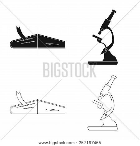 Isolated Object Of Education And Learning Logo. Set Of Education And School Vector Icon For Stock.